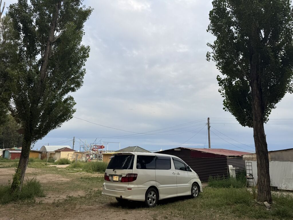 Toyota Alphard: 2005 г., 3 л, Автомат, Газ, Минивэн: фото 3