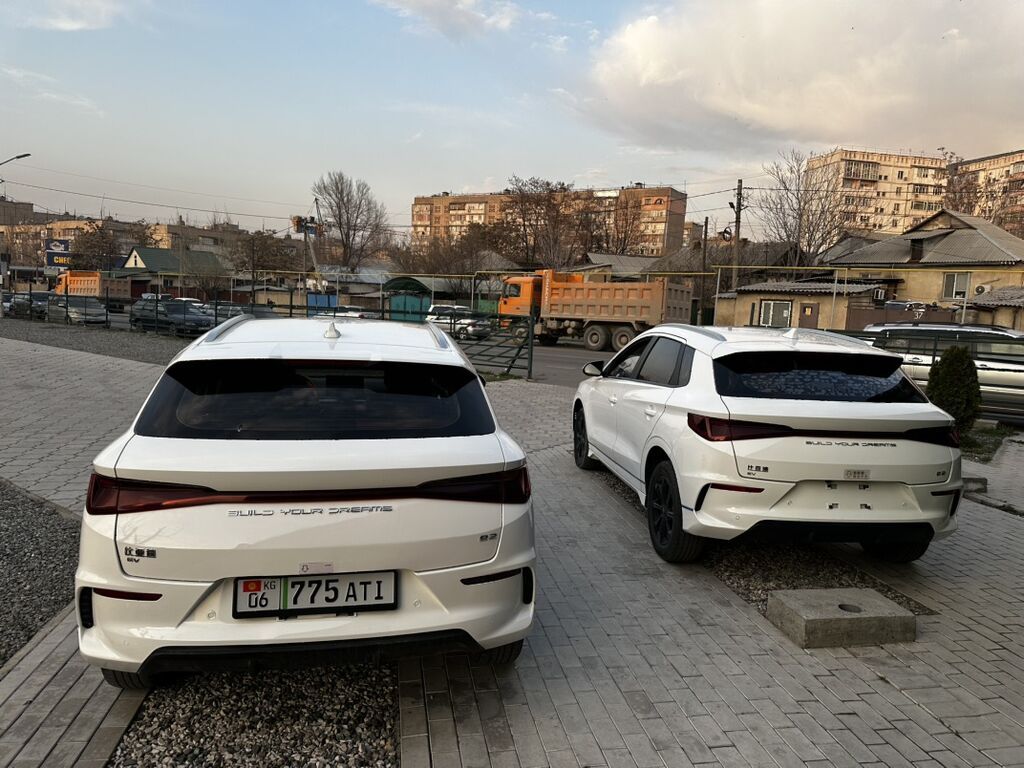 BYD — салон автомобиля (интерьер, комплектация) - Цветовая схема: фото 6