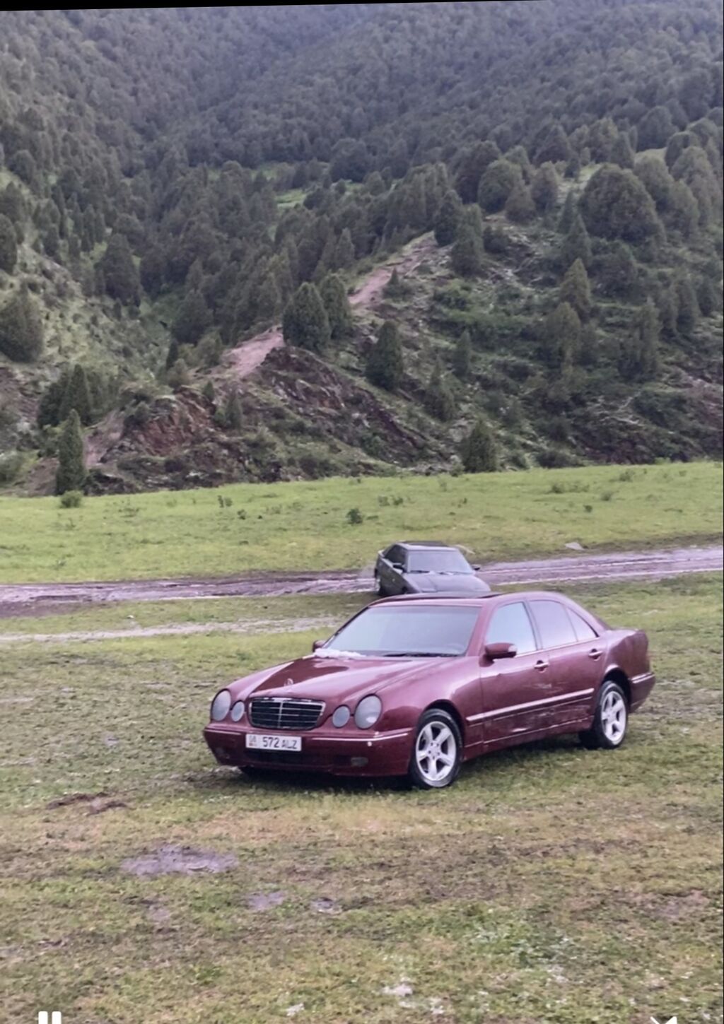 Mercedes-Benz E-Class: 2001 г., 2.7 л, Автомат, Дизель, Седан: фото 8