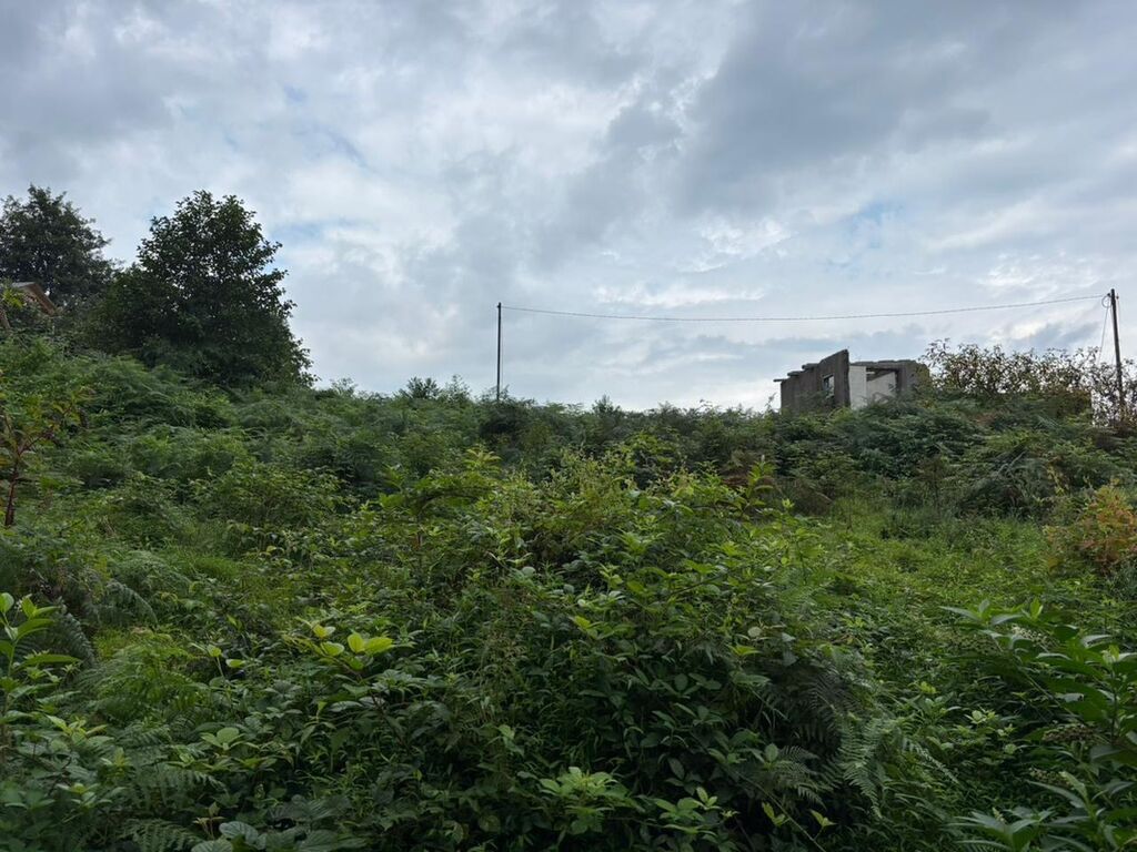 Tikinti