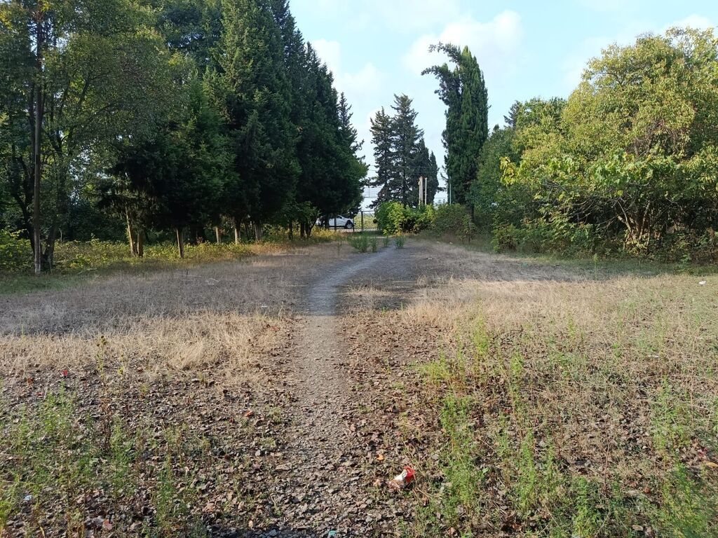 67 sot, Tikinti, Mülkiyyətçi, Kupça (Çıxarış)