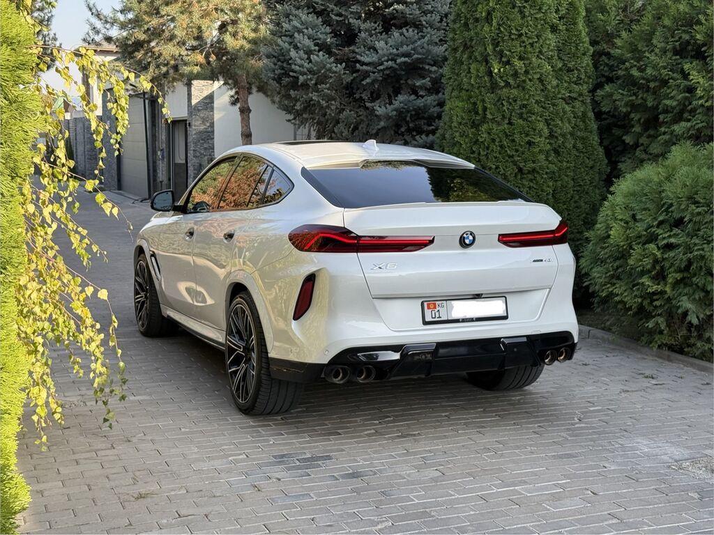 BMW X6: 2021 г., 3 л, Автомат, Бензин, Внедорожник: фото 4