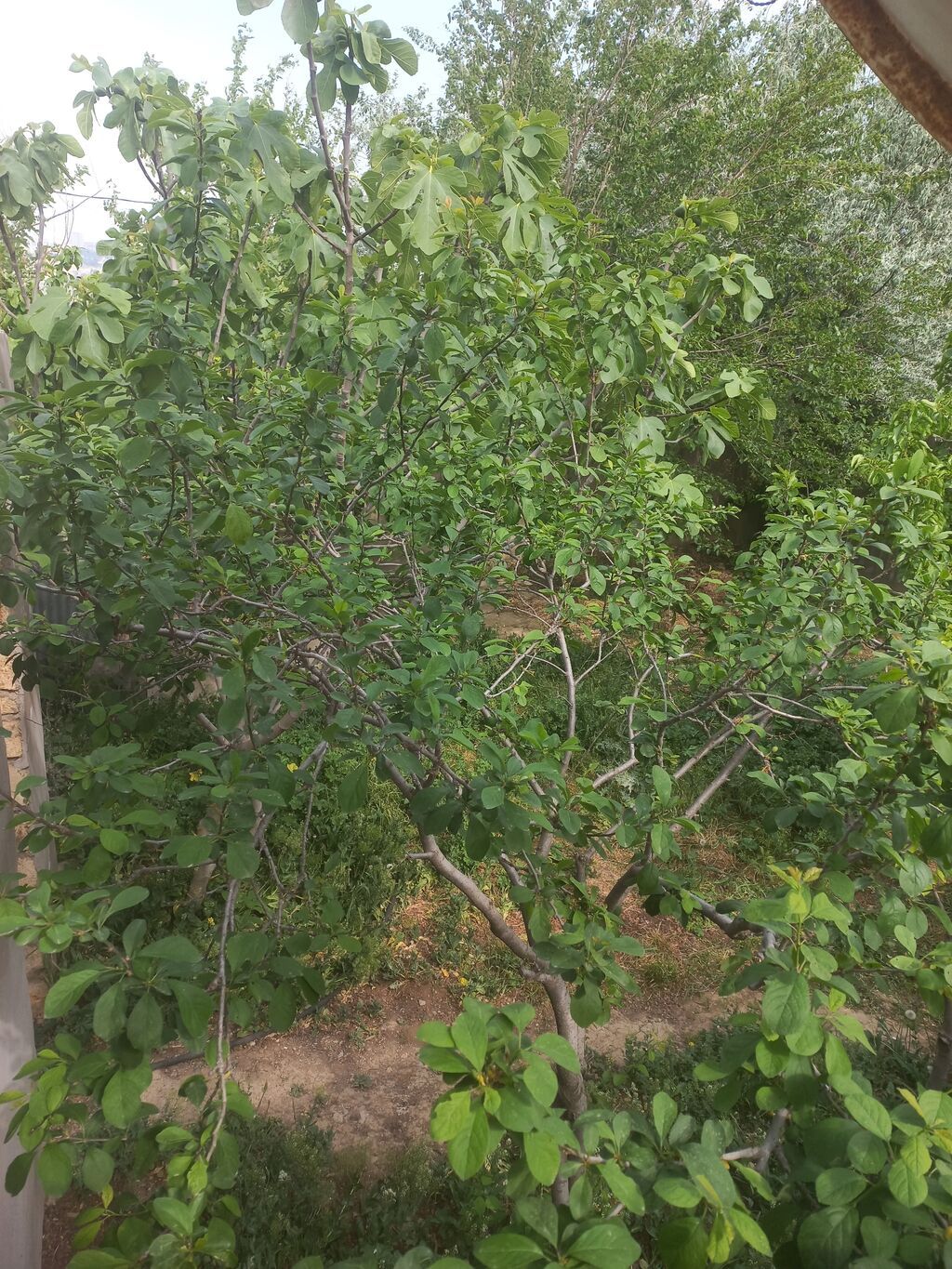 3 otaqlı, 100 kv. m, Kredit yoxdur, Orta təmir