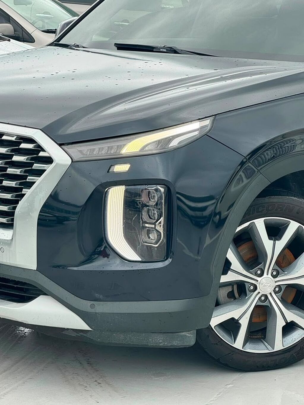 Hyundai Palisade: 2020 г., Кроссовер: фото 8