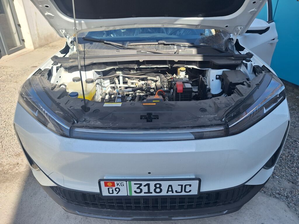 Dongfeng Aeolus Haoji: 2026 г.: фото 1