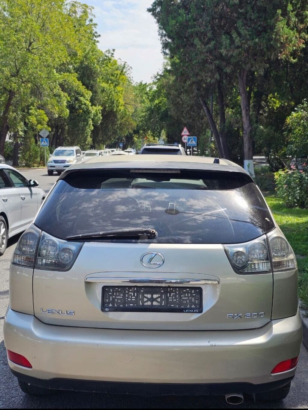 Lexus RX: 2004 г., 3 л, Автомат, Бензин, Кроссовер: фото 3