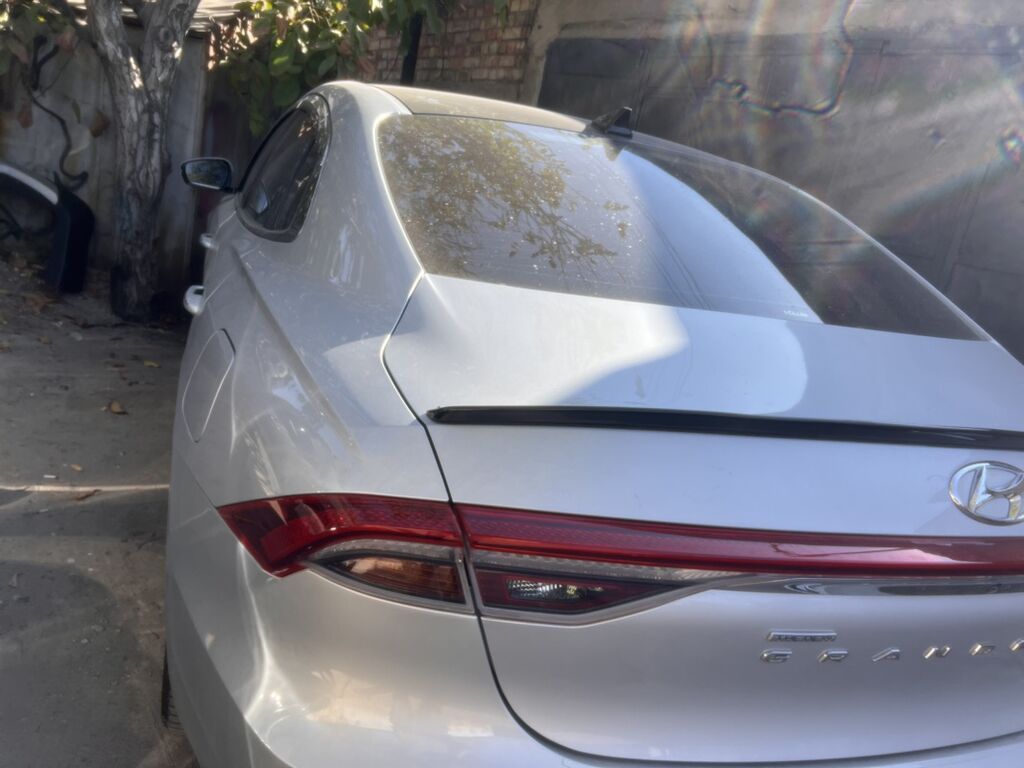 Спойлер на крышку багажника для Hyundai Grandeur (седан, актуальное: фото 4