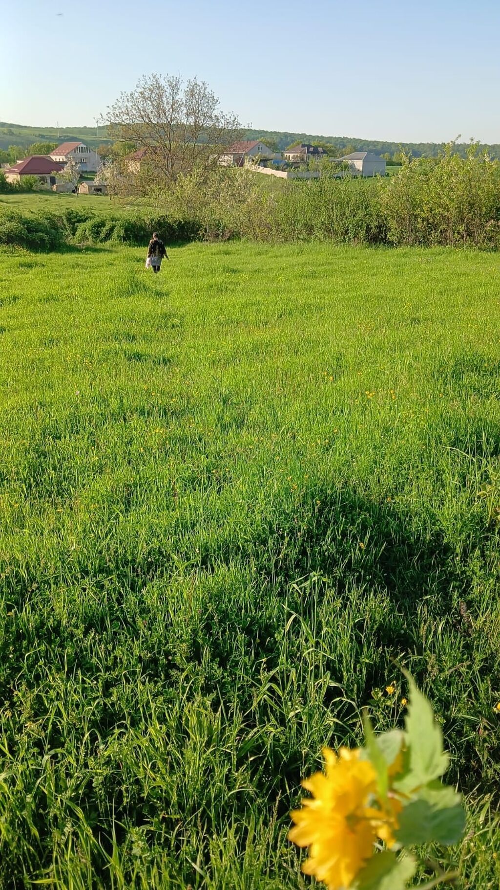 12 sot, Mülkiyyətçi, Kupça (Çıxarış)