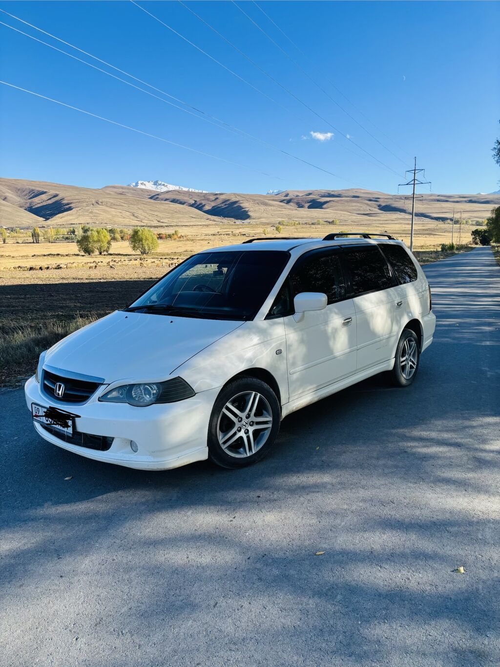 Honda Odyssey: 2002 г., 2.3 л, Автомат, Бензин, Минивэн: фото 1