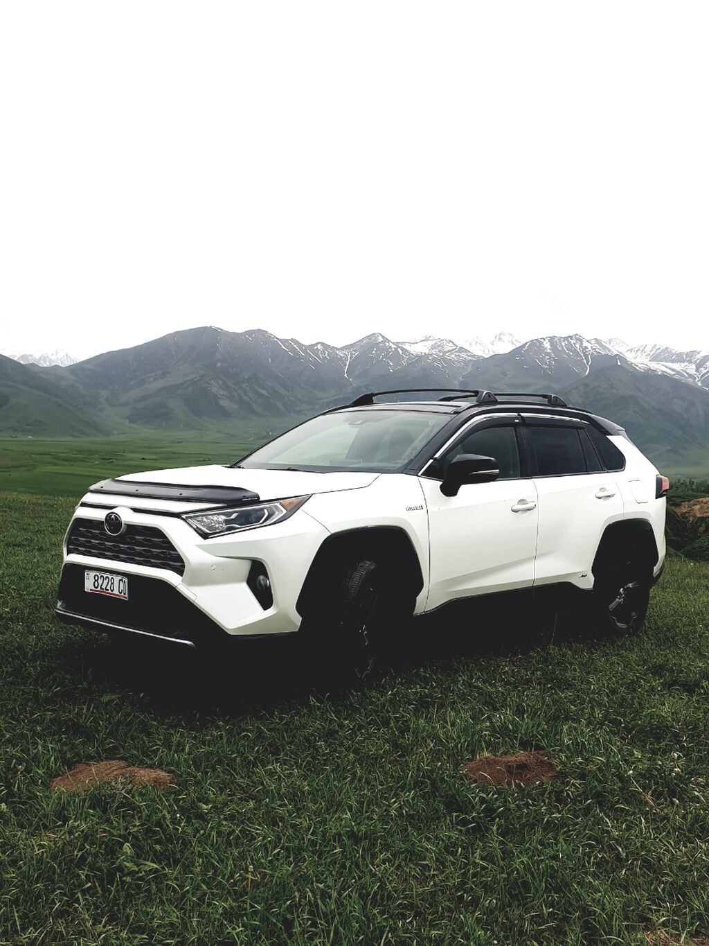 Toyota RAV4: 2019 г., 2.5 л, Гибрид, Кроссовер: фото 3