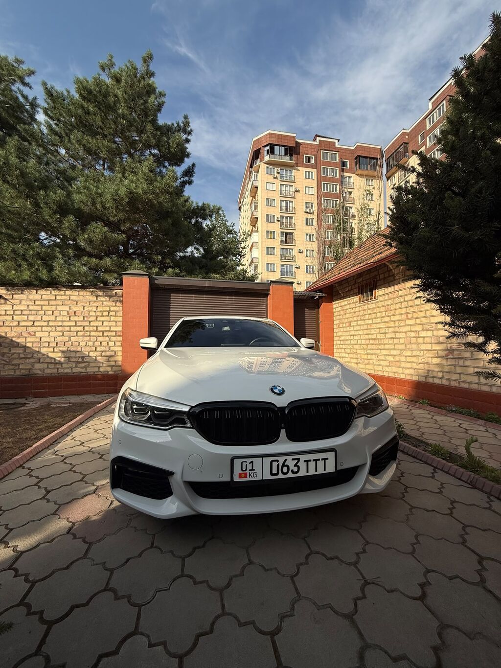 BMW 530: 2019 г., 2 л, Автомат, Бензин: фото 2