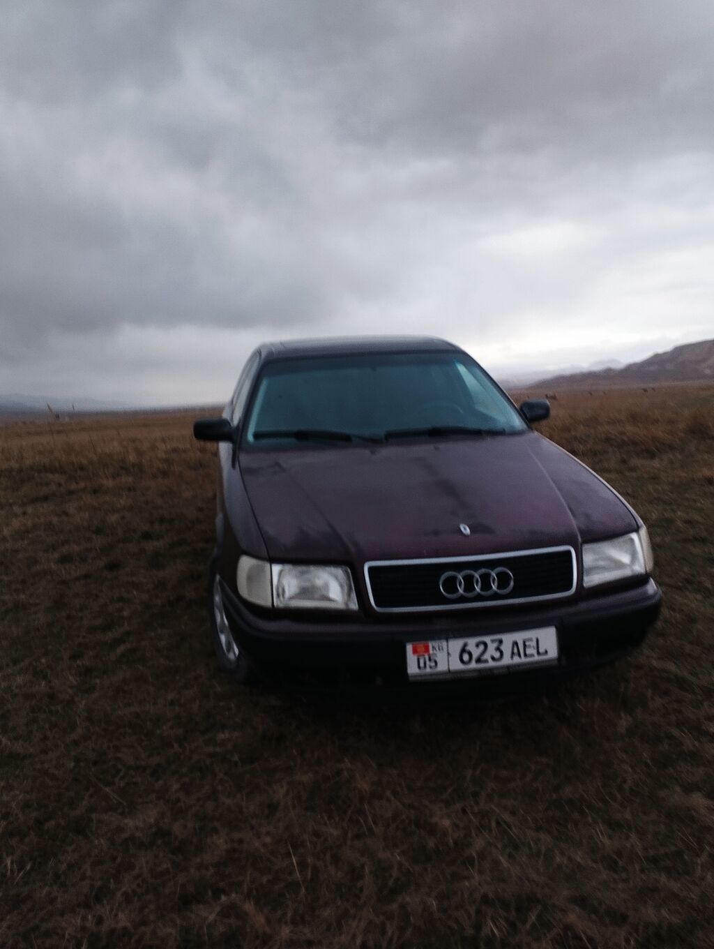 Audi 100: 1992 г., 2.3 л, Механика, Бензин, Седан: фото 4