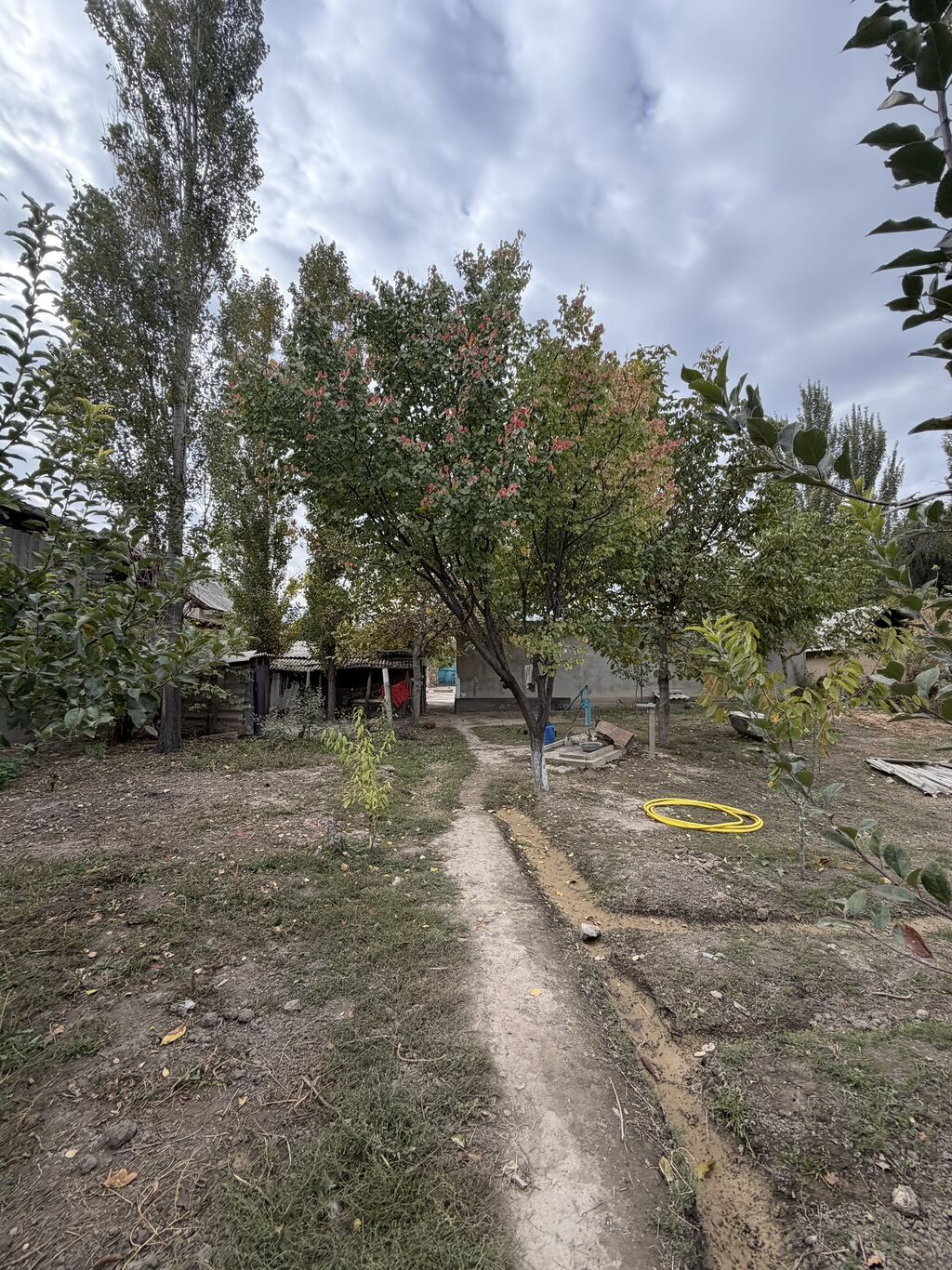 Продам дом 140 м² на участке 20 соток в с. Садовое: фото 5