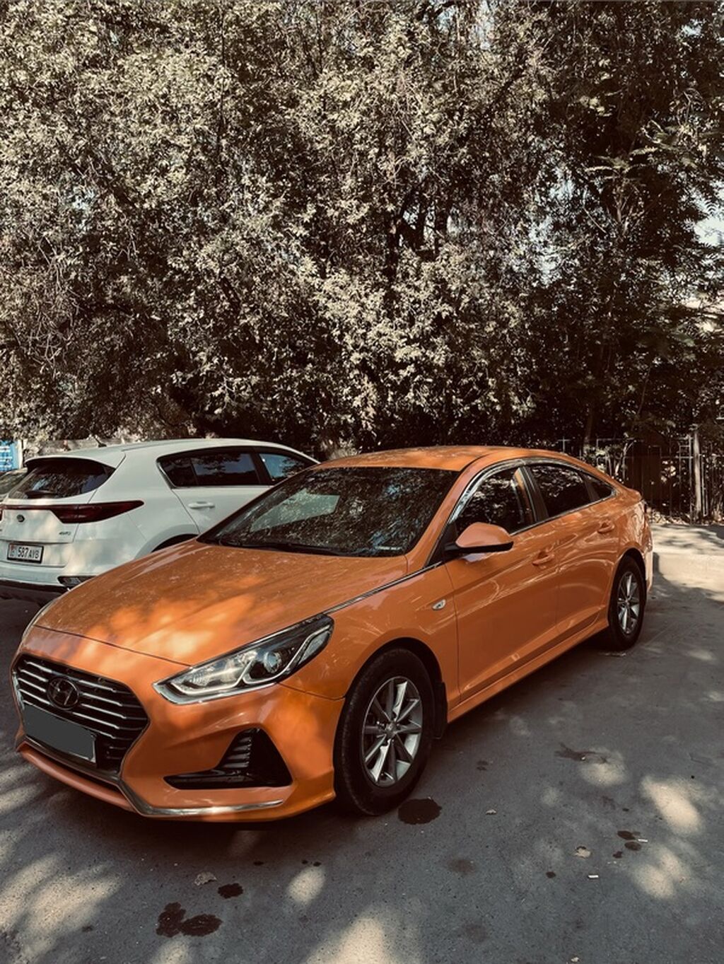 Hyundai Sonata: 2019 г., 2 л, Автомат, Газ, Седан: фото 1