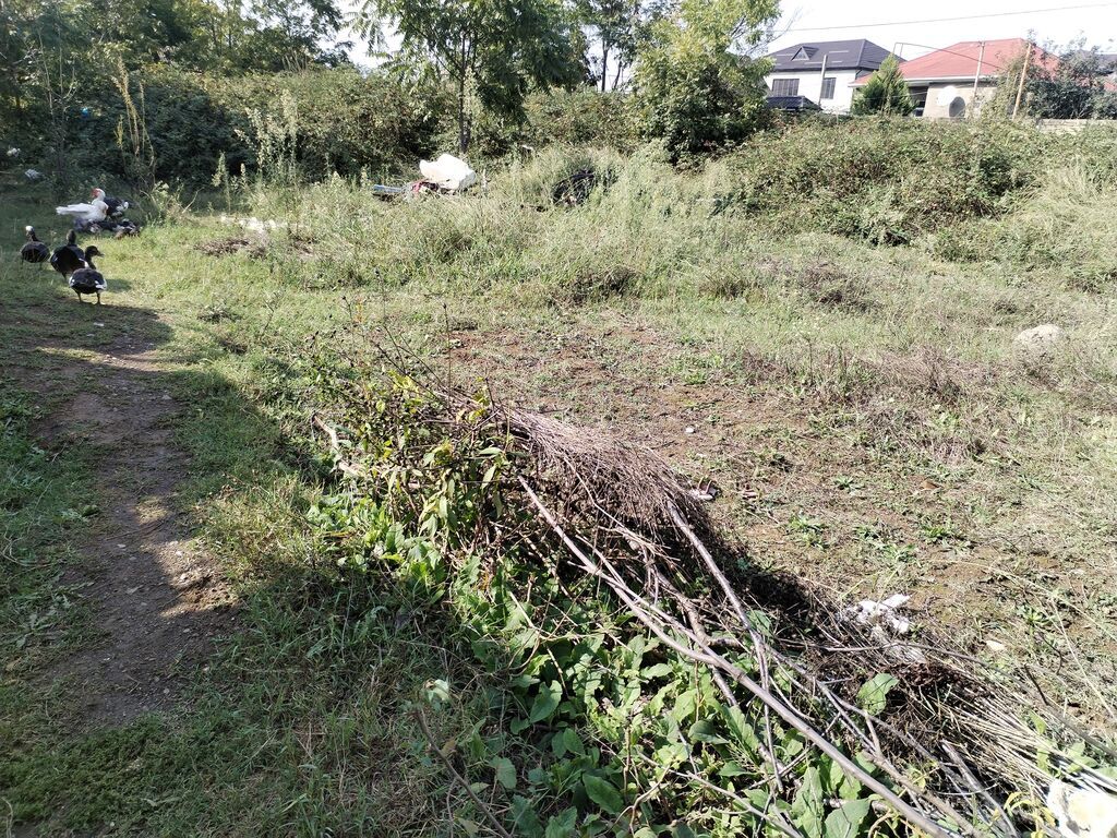 37 kv. m, 3 otaqlı, İşıq, Su, İnternet