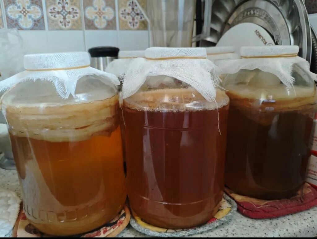 Чайный гриб ( Комбуча) Самовывоз. Полезный,бодрящий, натуральный: фото 3