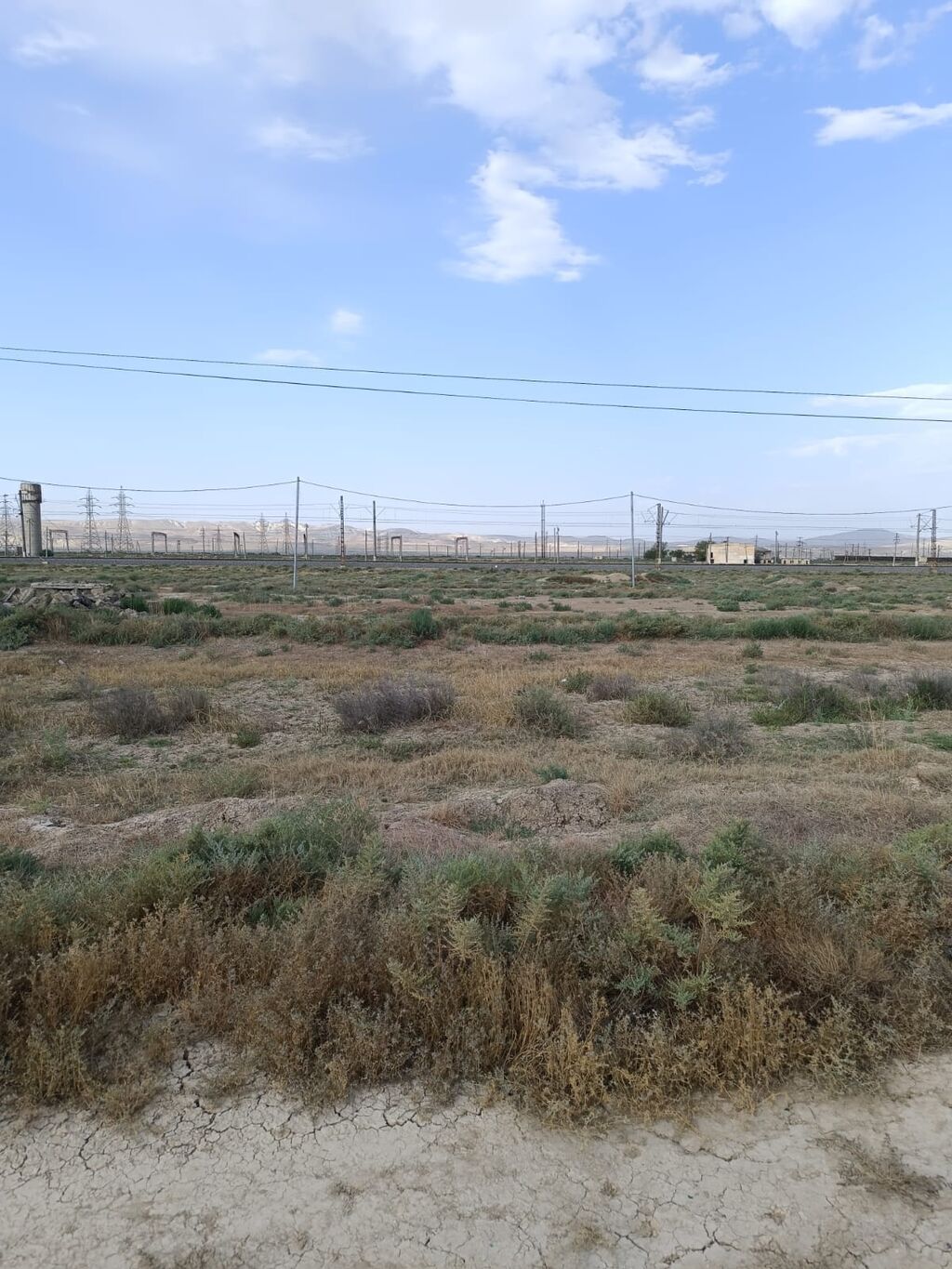 Tikinti