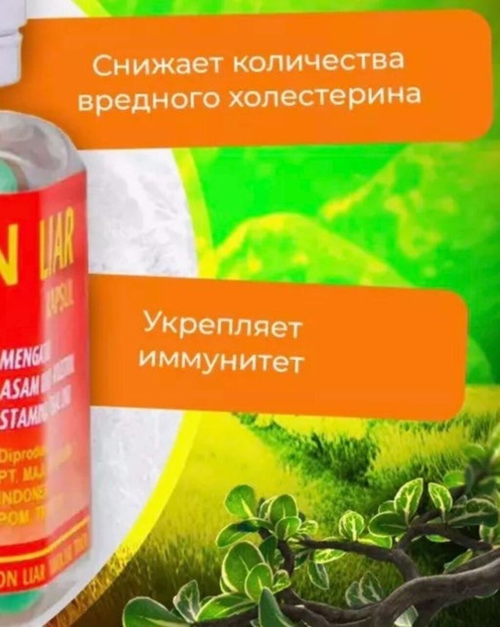 Tawon Liar - мощный комплексный БАД в капсулах, разработанный в: фото 4