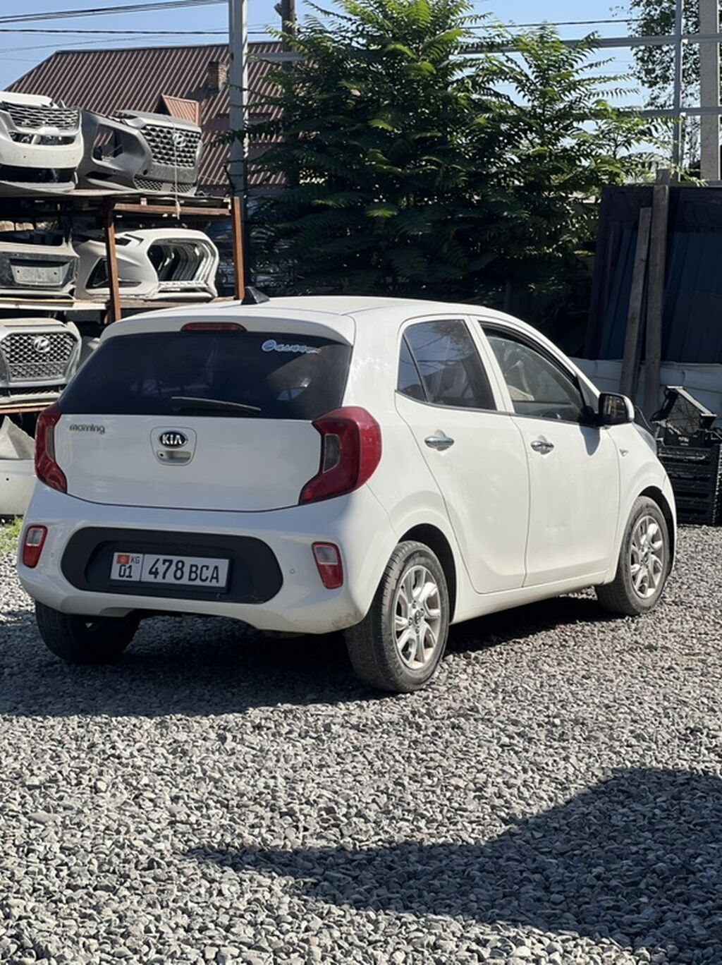 Kia Picanto: 2019 г., 1 л, Автомат, Бензин, Хэтчбэк: фото 6