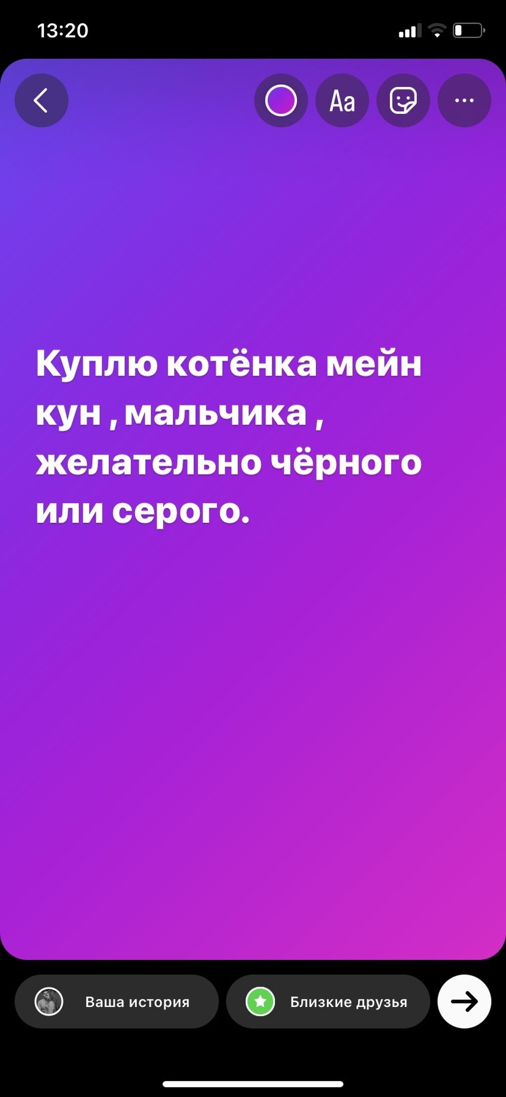 Куплю котёнка мейн куна мальчика серого: Договорная ᐈ Коты | Беловодское |  38335202 ➤ lalafo.kg