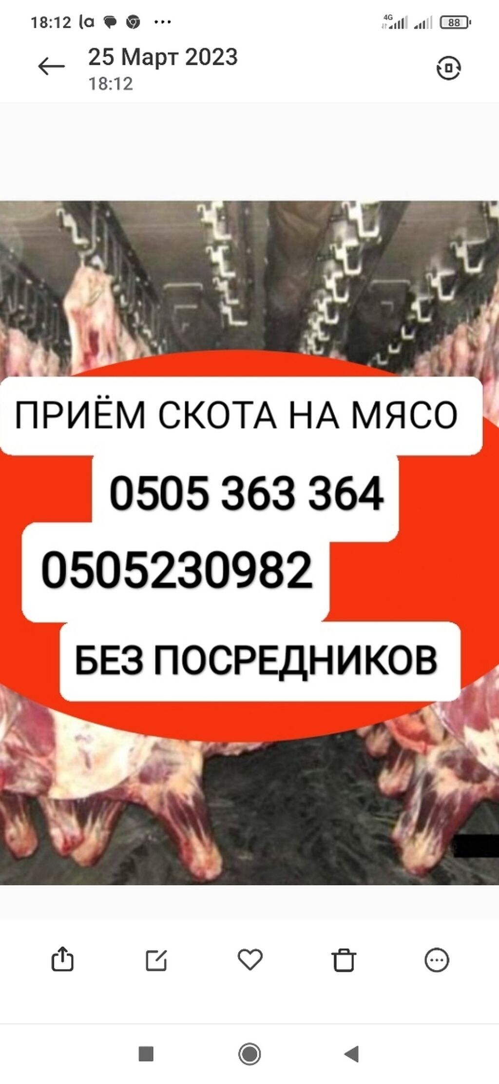Частное лицо : Коровы, быки, Лошади, кони, | Круглосуточно, Любое состояние, Забитый