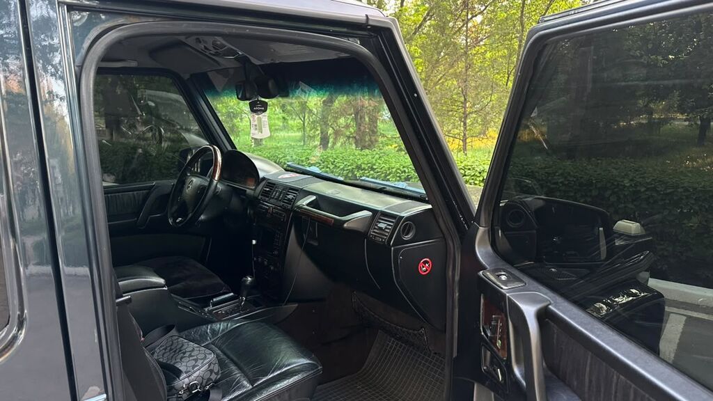 Mercedes-Benz G-Class: 2001 г., 4 л, Автомат, Дизель: фото 8