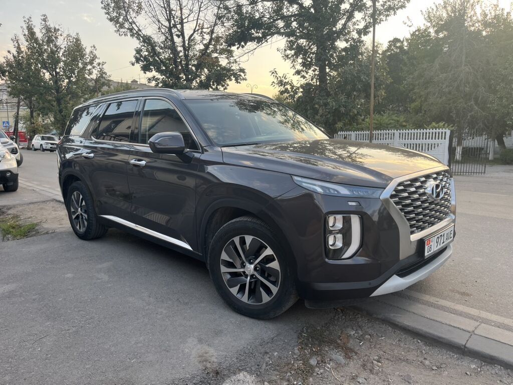 Hyundai Palisade: 2019 г., 2.2 л, Автомат, Дизель, Кроссовер: фото 1