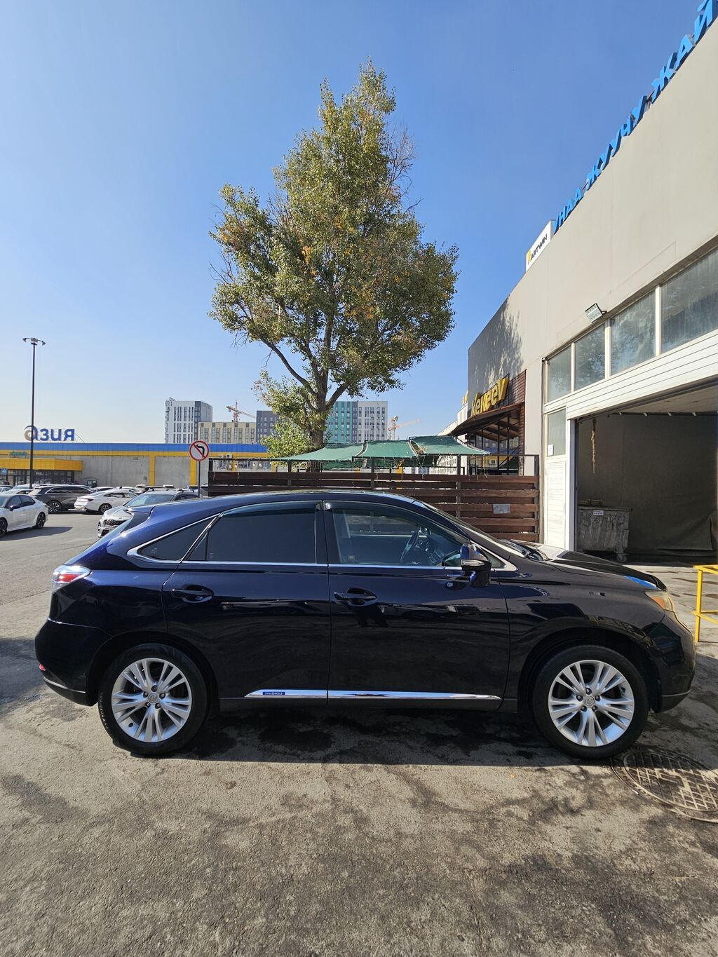 Lexus RX: 2011 г., 4.5 л, Автомат, Бензин, Кроссовер: фото 5