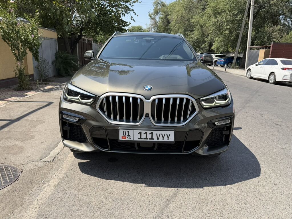 BMW X6: 2020 г., 3 л, Автомат, Дизель, Кроссовер: фото 2