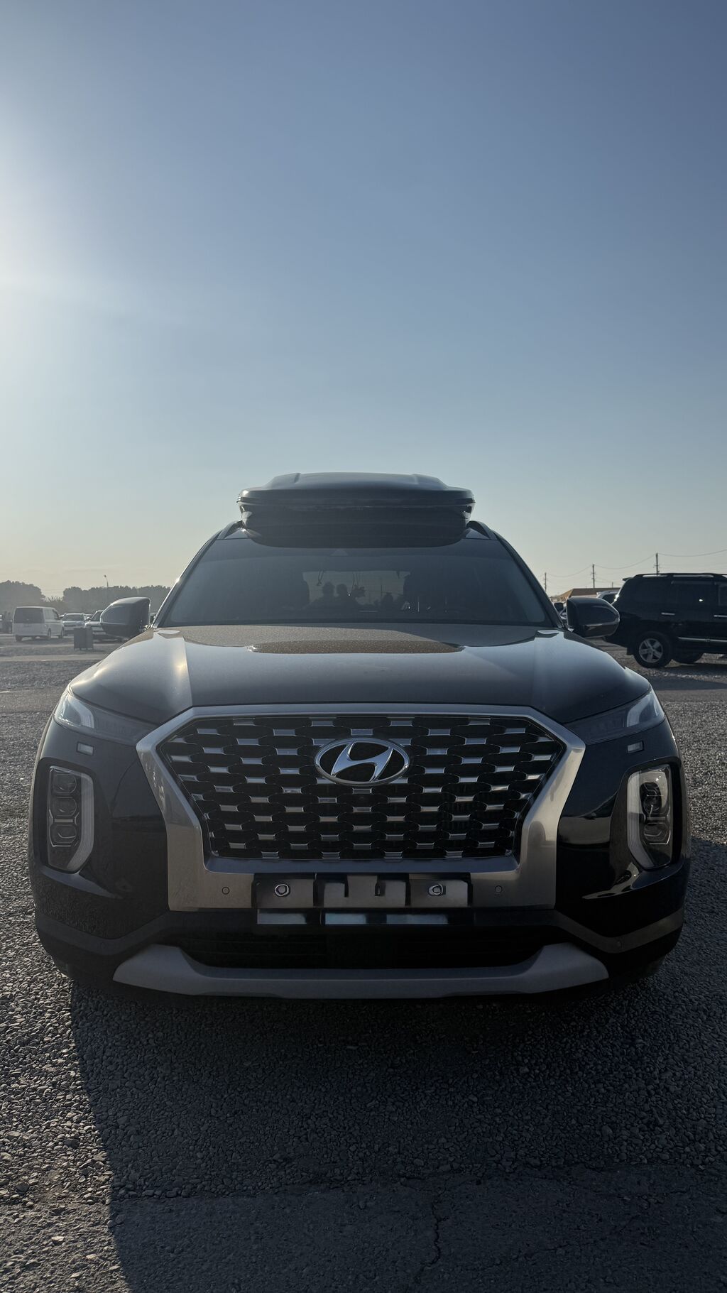 Hyundai Palisade: 2019 г., 2.2 л, Автомат, Дизель, Кроссовер: фото 1