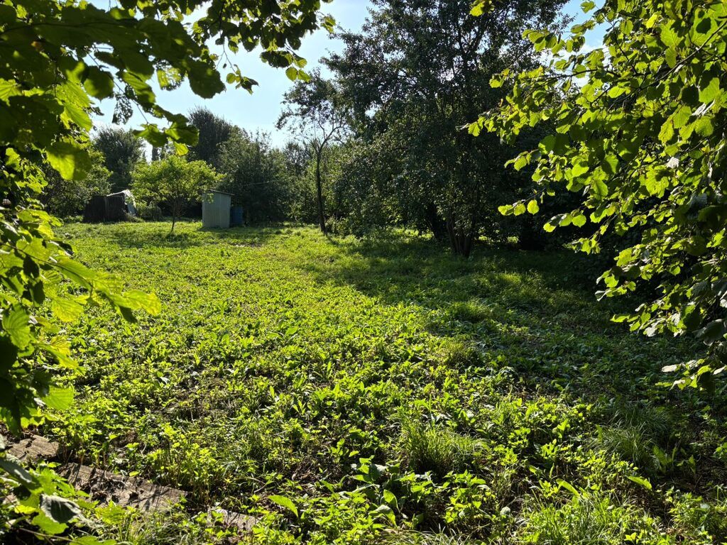 18 sot, Tikinti, Mülkiyyətçi, Kupça (Çıxarış)