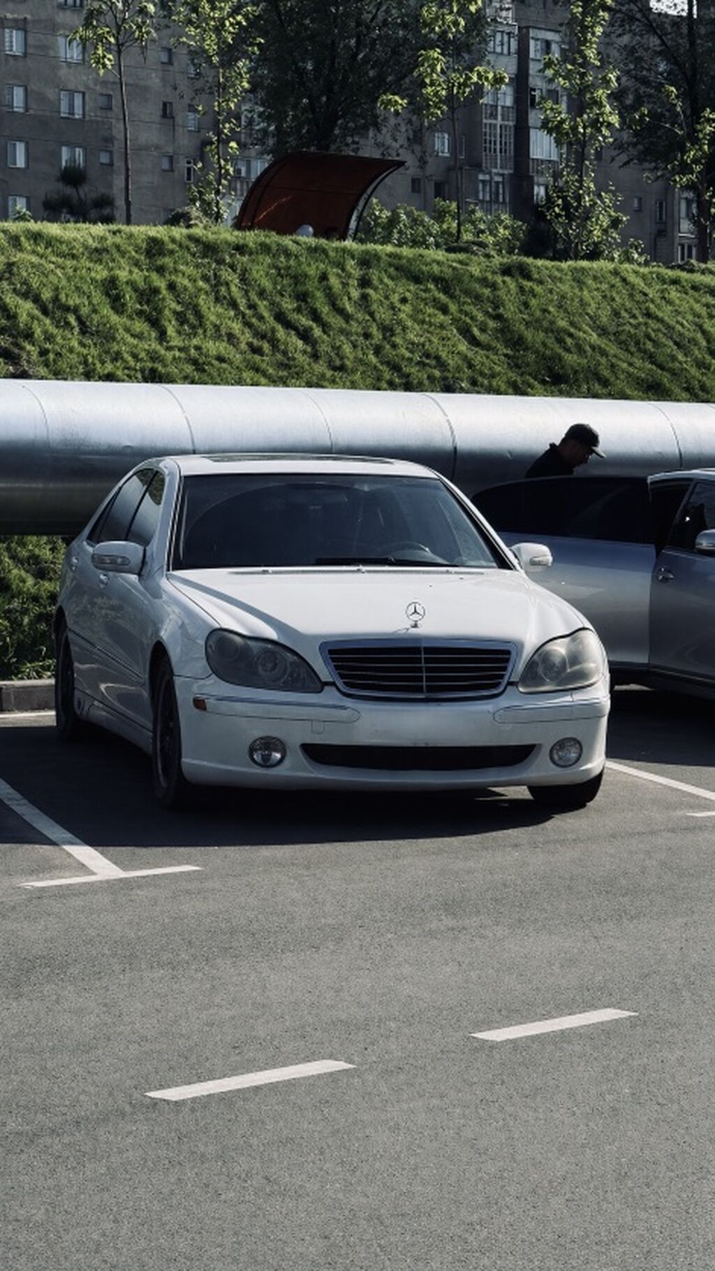 Mercedes-Benz S-Class: 2001 г., 5 л, Автомат, Бензин, Седан: фото 3