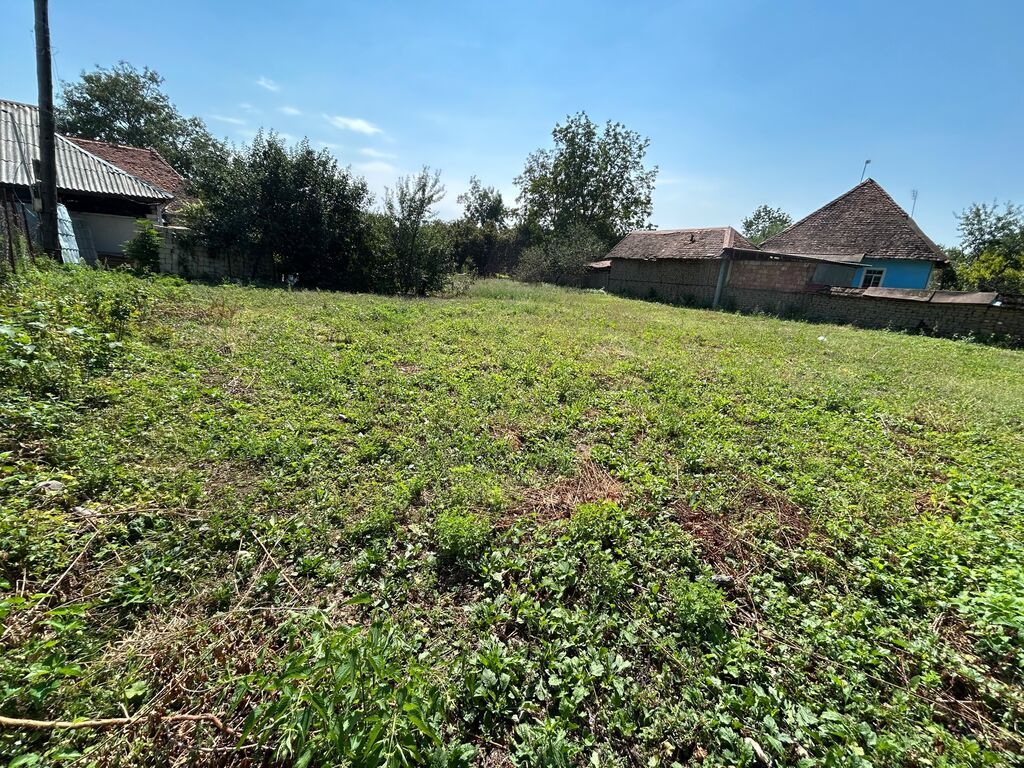 8 sot, Tikinti, Maklerlər narahat etməsin, Kupça (Çıxarış)