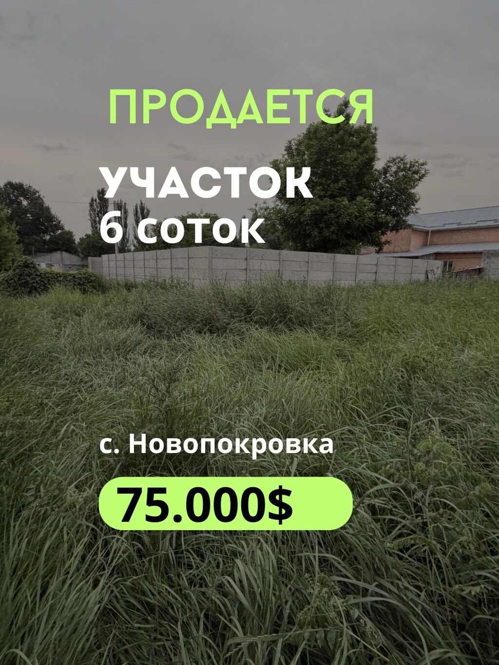 6 соток, Красная книга, Договор купли-продажи: фото 1