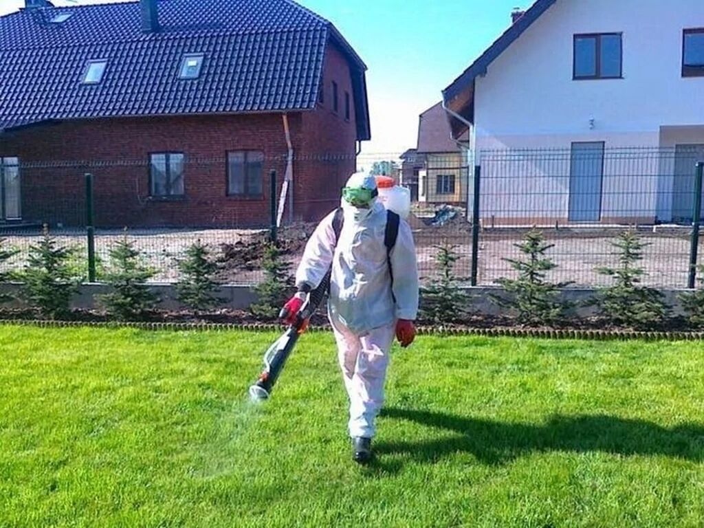 Дезинсекция от тараканов и клопов Обработка | Договорная | Дезинфекция ...