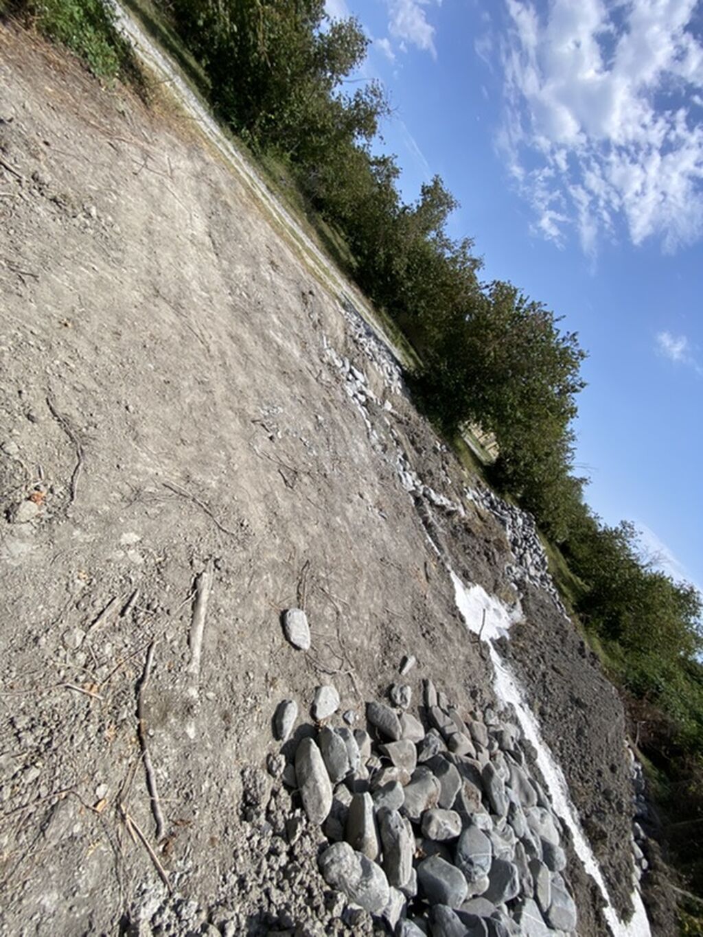Tikinti
