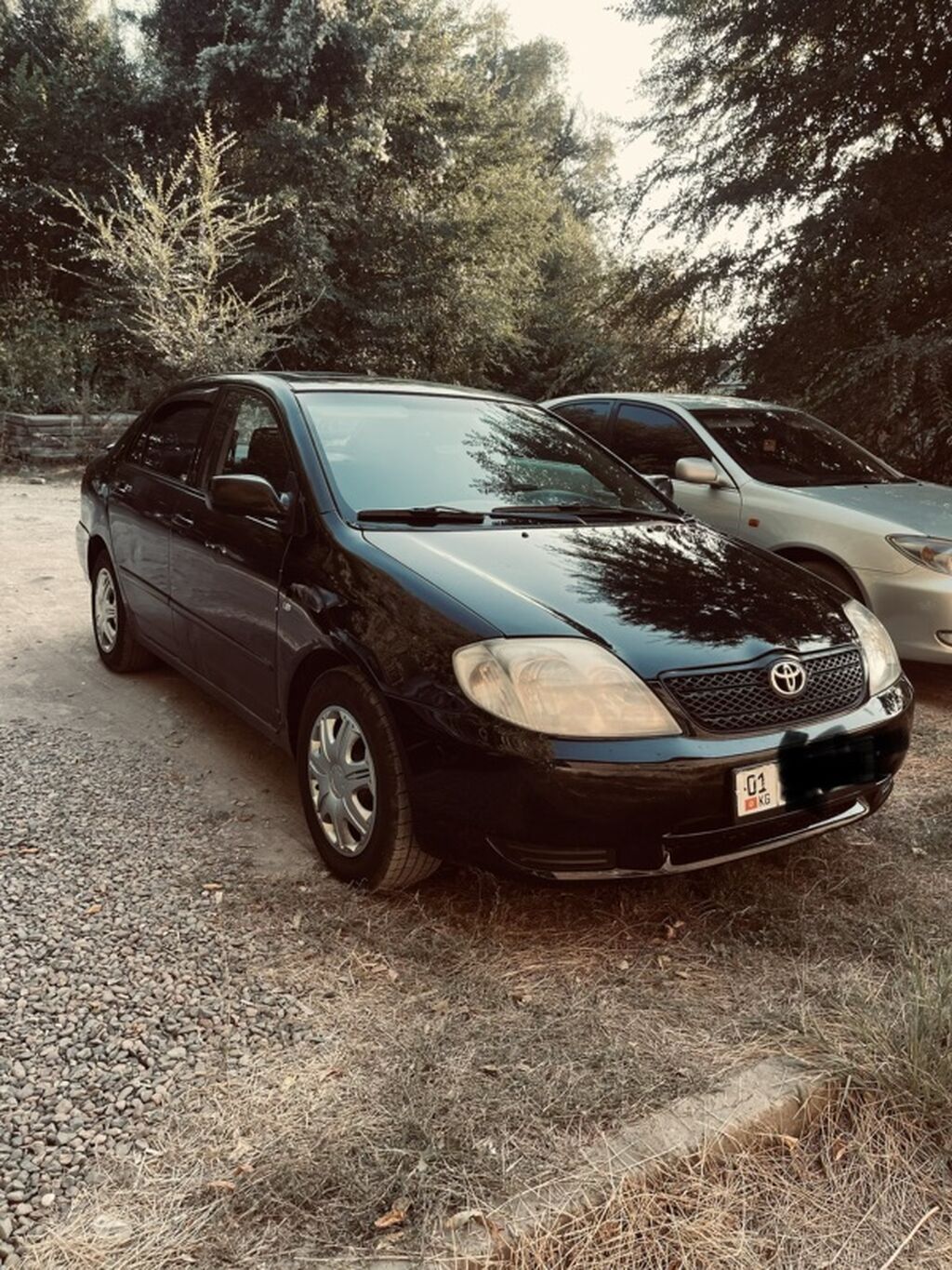 Toyota Corolla: 2003 г., 1.8 л, Механика, Бензин, Седан: фото 2