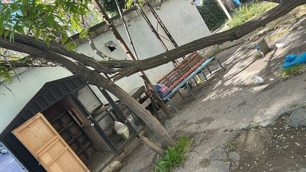 24 kv. m, 7 * 6 * 250 Metal, Daş Su