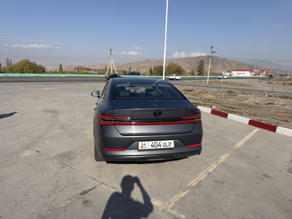 BYD Qin: 2019 г., 1.5 л, Автомат, Гибрид, Седан: фото 2