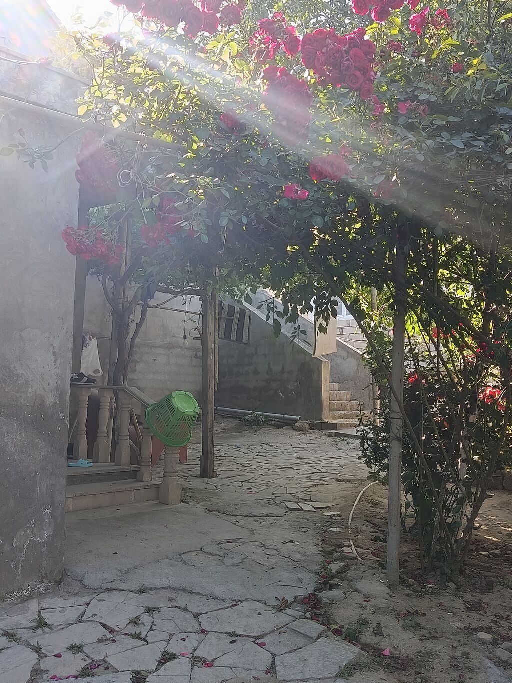 5 otaqlı, 500 kv. m, Kredit yoxdur, Yeni təmirli