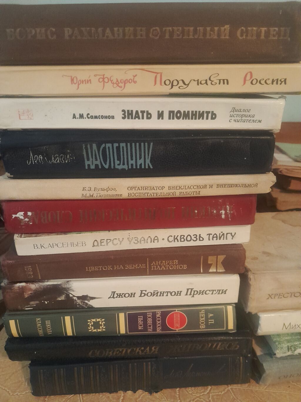 Собрание книг по русской и зарубежной литературе, языку и истории — фото 4