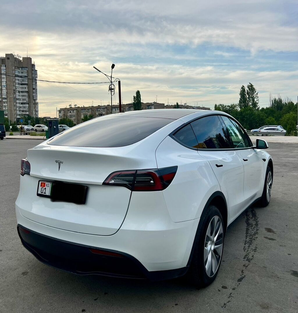 Tesla Model Y: 2024 г., Электромобиль, Кроссовер: фото 2