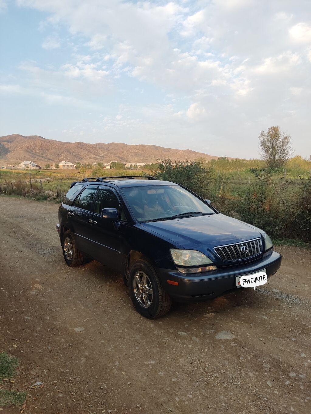 Lexus RX: 2001 г., 3 л, Автомат, Бензин, Кроссовер: фото 3