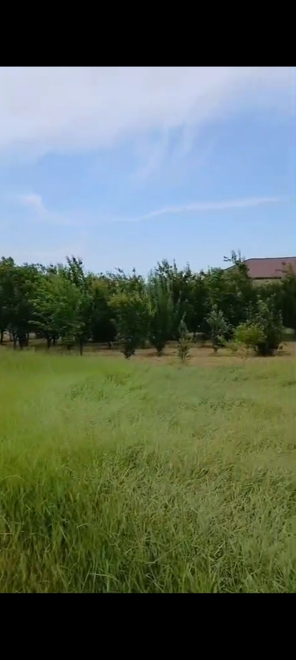 12 sot, Mülkiyyətçi, Kupça (Çıxarış)