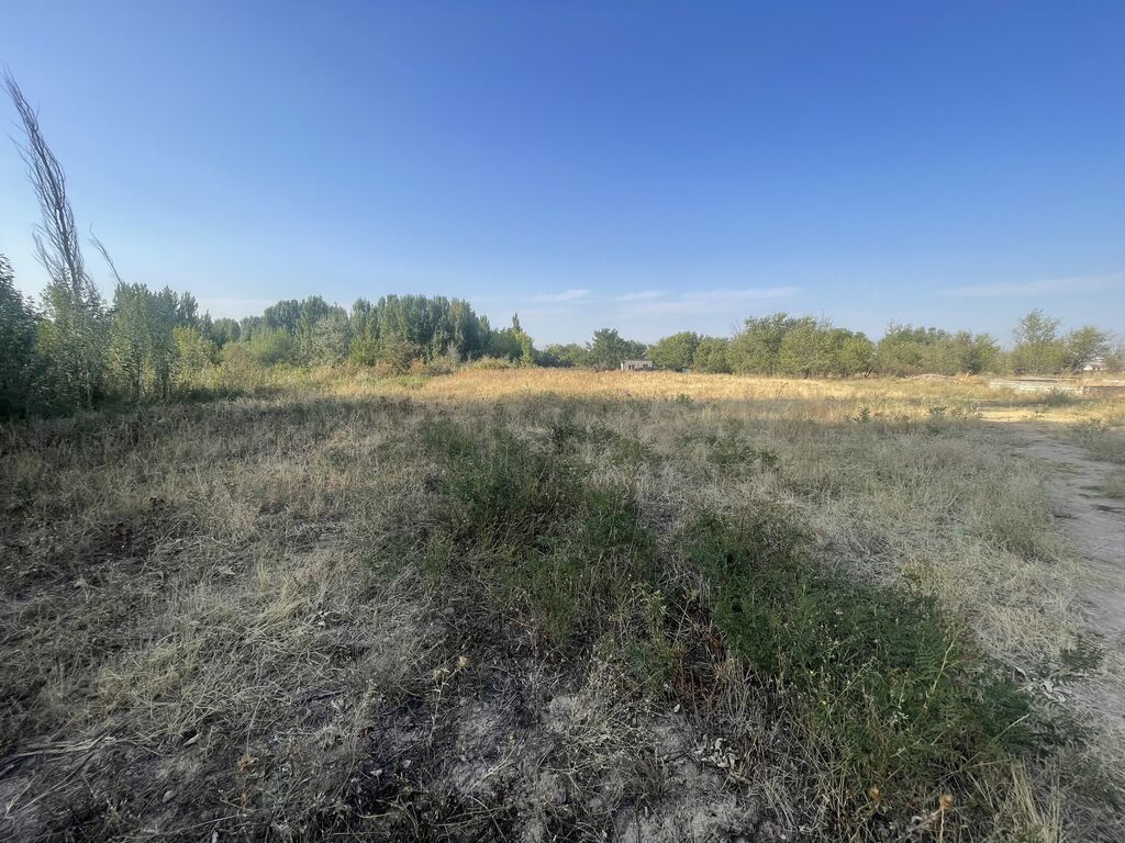 5 соток, Для строительства, Красная книга, Договор купли-продажи: фото 7