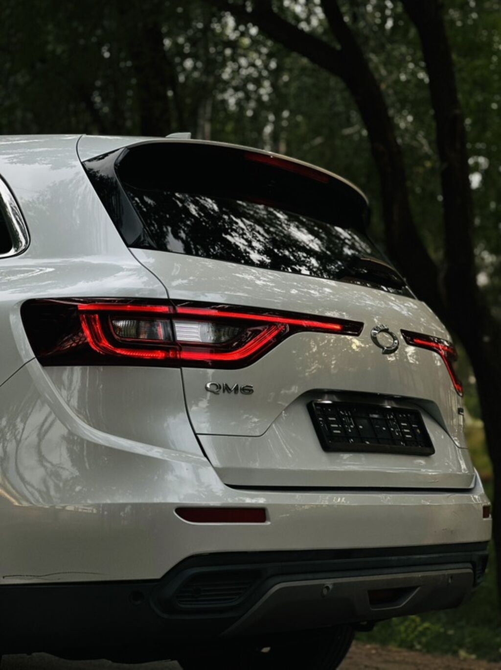 Renault QM6: 2020 г., 2 л, Автомат, Бензин, Кроссовер: фото 5