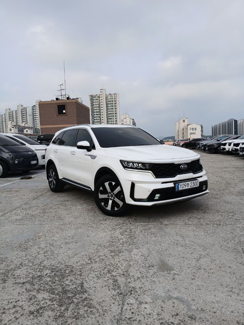 Kia Sorento: 2021 г., 2.2 л, Дизель, Кроссовер: фото 1