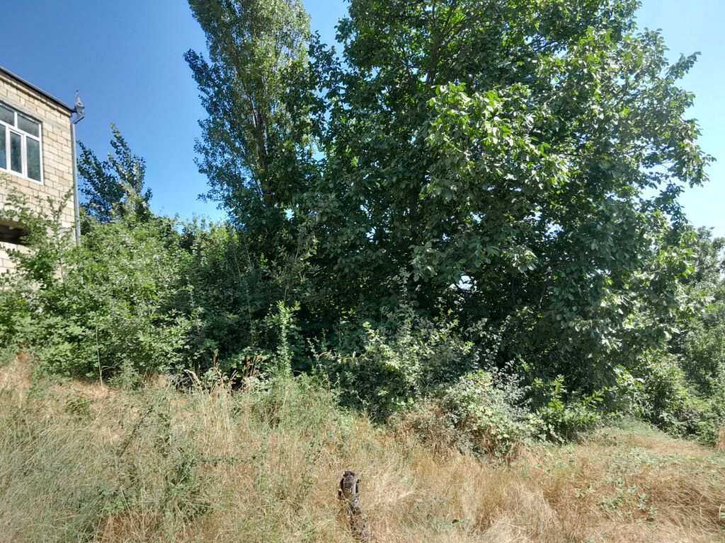 3 otaqlı, Yeni tikili, 60 kv. m