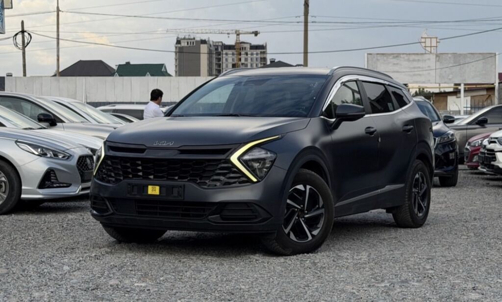 Kia Sportage: 2022 г., 1.6 л, Автомат, Гибрид, Кроссовер: фото 1
