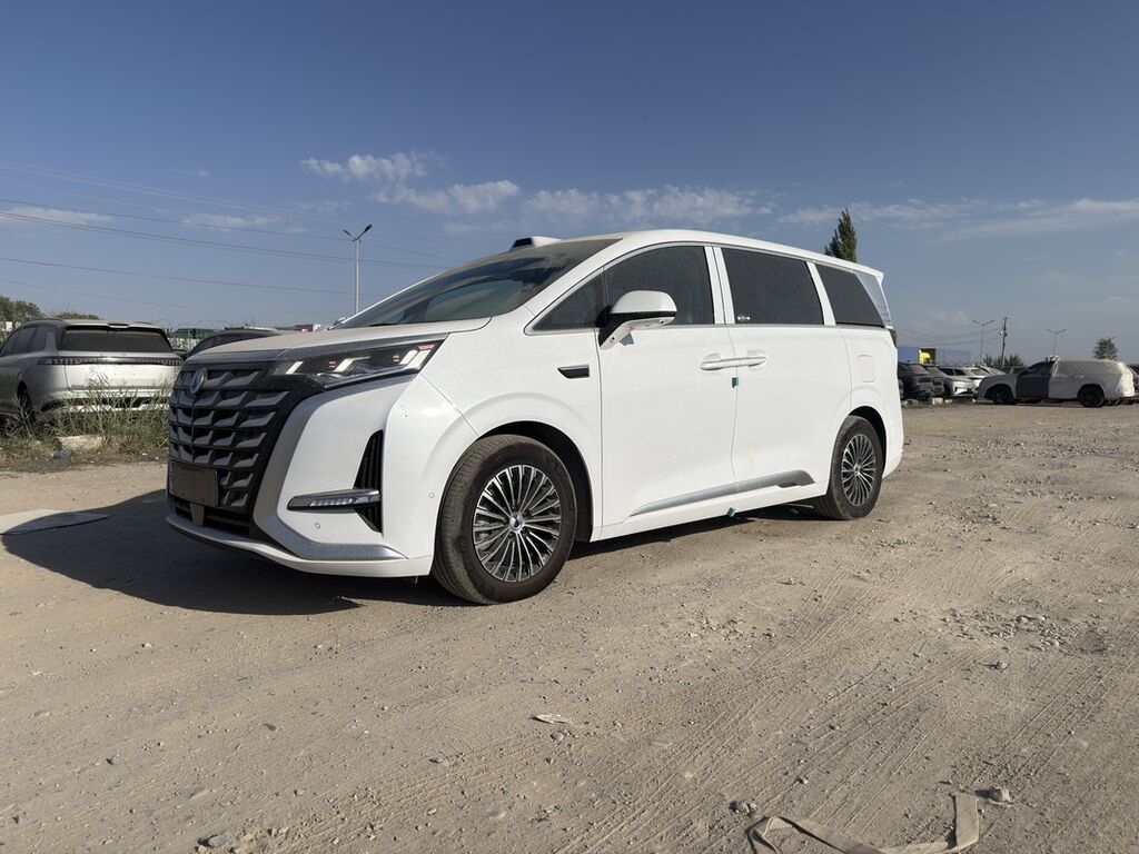 BYD : 2026 г., 1.5 л, Гибрид, Минивэн: фото 2